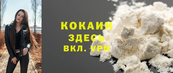 шишки Пестово