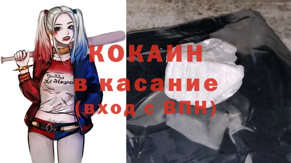 индика Переславль-Залесский