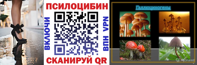 OMG ССЫЛКА  где купить наркоту  Приволжск  Галлюциногенные грибы MAGIC MUSHROOMS 